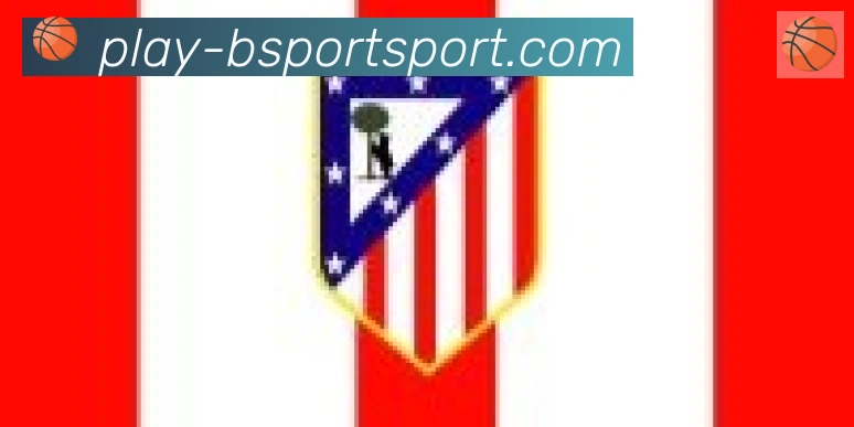 Bsports官网合作伙伴