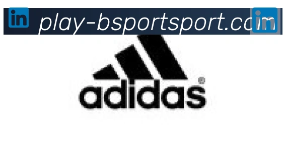 Bsports官网合作伙伴