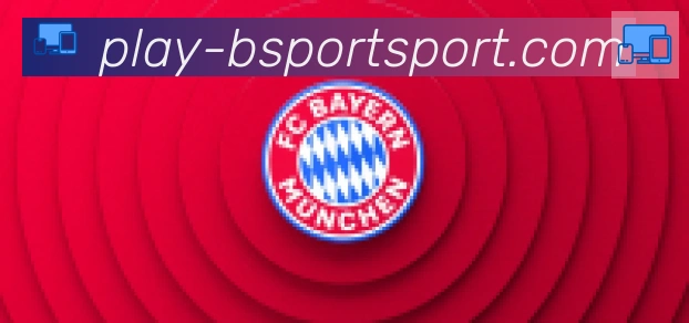 Bsports官网合作伙伴