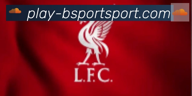 Bsports官网合作伙伴